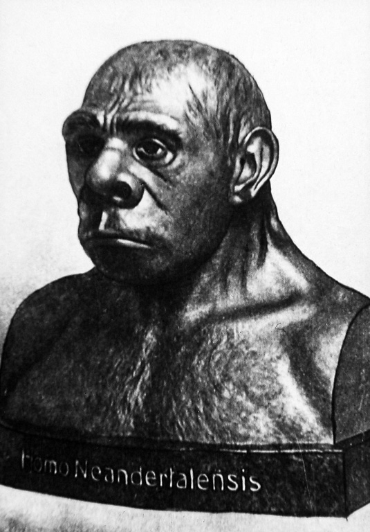 05 - Neandertalmensch